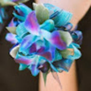 Meet your Posher, Corinne